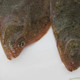 大连特产新鲜小偏口鱼 野生 鼓眼鱼 鲜活比目鱼 4-5条/斤