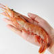 新鲜阿根廷红虾 4斤/盒 大海虾 速冻进口海鲜对虾 2015年8月新货