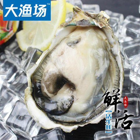 大连特产海鲜 鲜活海蛎子（带壳） 500g 生蚝 海蛎子 新鲜牡蛎