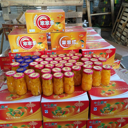 枣阳特产 知心果园橘子罐头 12罐