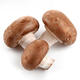 花菇干货农家野生香菇椴木蘑菇食用菌特级小香菇襄阳土特产包邮