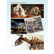 【湛江馆】广东首届恐龙化石展门票—湛江站（成人票）注：一张成人票限带1个1米以下免票儿童