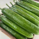 邮鲜生 【来宾振兴馆】水果黄瓜2.5公斤按绿色食品标准种植