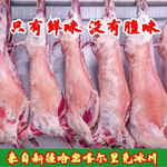 农家自产 喀尔里克冰川驹俐（羊前腿+排）