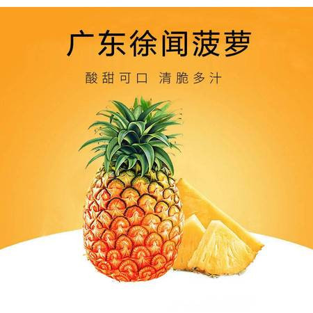 湛江徐闻新鲜水果大菠萝广东特产2个装 邮政农品精美礼盒装