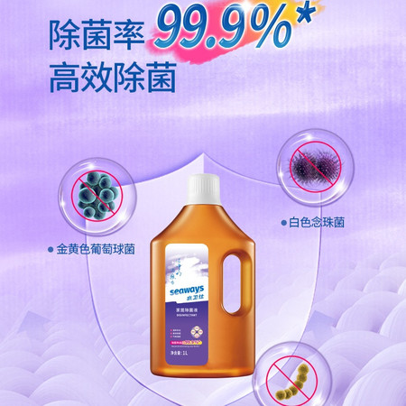 水卫仕 【东莞馆】除菌液 1L*1瓶图片