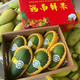 自产自销 红心木瓜（3-5个/斤）5斤装 2500g