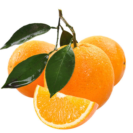 湖北宜昌犁楚 纽荷尔脐橙 新鲜水果橙子 孕妇农家甜橙子 5斤