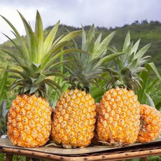农家自产 菠萝2.5kg 清甜