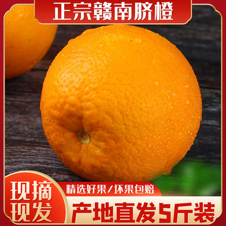 宏裕 脐橙大果5斤装（70-80mm）图片