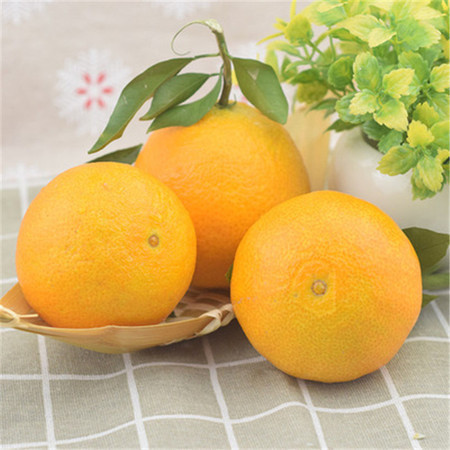 自产自销 【娄底】麻阳冰糖橙、脐橙系列