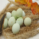 滇贝土鸡蛋   绿壳鸡蛋  散养绿壳鸡蛋
