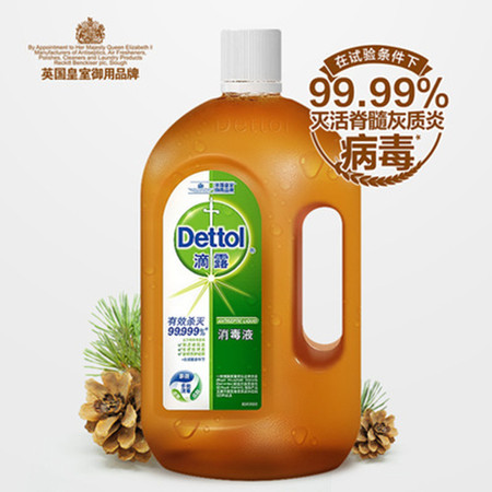 Dettol¶Һ750ml ɱˮϴɱ