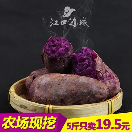 巴山农家自种原生态新鲜紫薯红薯紫番薯芋头香甜地瓜5斤装图片