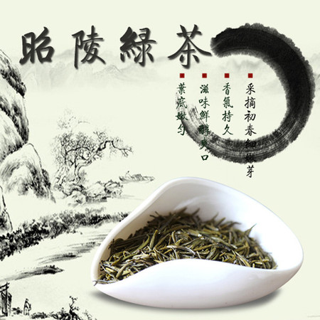 昭陵绿芝 绿茶图片