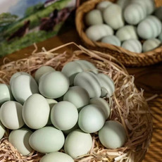 农家自产自销 绿壳土鸡蛋