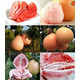 【松滋馆】柚之健—精品套装（三红柚一个、红肉柚一个，总重2.5kg） （预售10月8日发货）