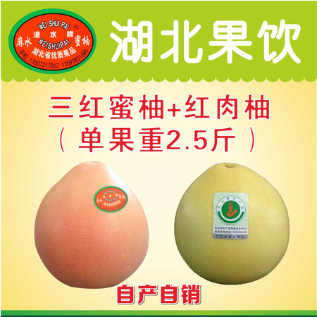 【松滋馆】柚之健—精品套装（三红柚一个、红肉柚一个，总重2.5kg） （预售10月8日发货）图片