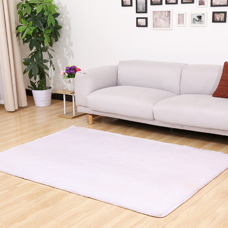 L加厚水洗丝毛防滑地毯客厅茶几卧室床边瑜伽地垫50*120cm	