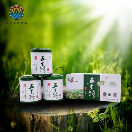 【海南白沙馆】海南特产五里路茶铁盒装 白沙绿茶108g包邮 春茶图片
