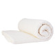戈壁棉业 新疆长绒棉纯棉胎10斤双人床被子棉胎被芯