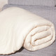 戈壁棉业 新疆长绒棉胎纯棉床褥床垫5斤床垫棉胎垫底