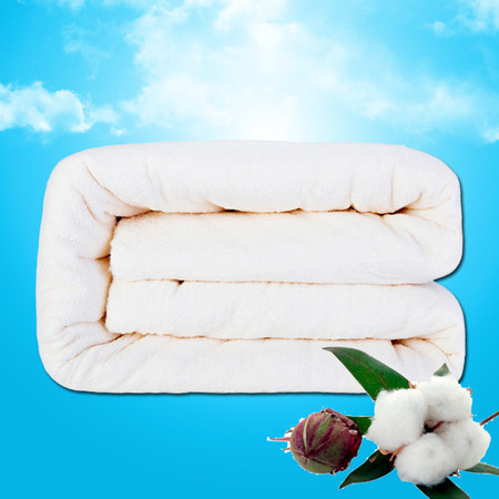 戈壁棉业 1斤新疆长绒棉儿童被芯棉花被芯床褥包被