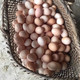 石台人 池州农家散养土鸡蛋