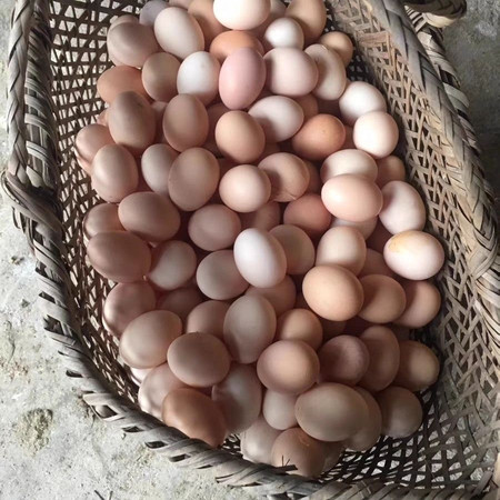 石台人 池州农家散养土鸡蛋