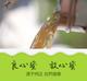 【助农扶贫】金菊顶乌桕蜜500g 无添加天然纯野生农家自产土蜂蜜 产于郁南金菊顶大山的蜂蜜