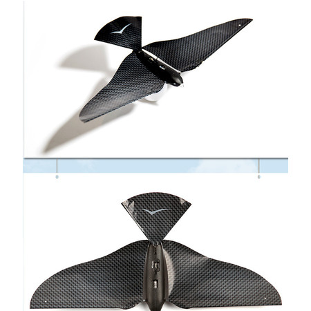 艾米娅 Bionic Bird 遥控仿真飞鸟图片