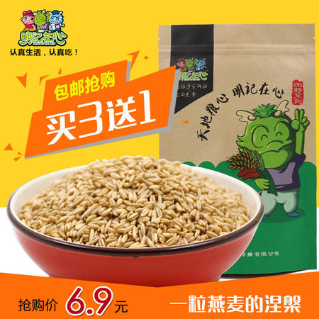 明记在心 燕麦米农家燕麦仁麦片原料五谷杂粮全胚芽脱毛刺500g