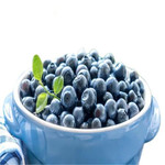Dream Blue 【葫芦岛馆】蓝莓中果 55元/箱 用心种 自然甜