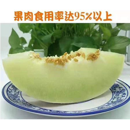 农家自产 【新疆邮政】莎车昆仑白玉瓜 3kg 蜜瓜肉质细腻 甜瓜