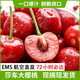 农家自产 新疆莎车大樱桃3斤  新鲜水果  空运发货