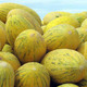 农家自产 伽师瓜86王 原产地发货 甜瓜 14-16斤