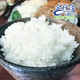金百合 优选东北大米珍珠米香米 5kg