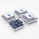 新鲜蓝莓鲜果4盒装500g新鲜水果冷链运输包邮