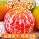 【坏果包赔】云南蜜桔10斤 橘子薄皮青桔子应季水果新鲜当季蜜橘早熟绿皮柑
