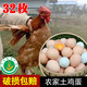 【广安邮政】  32枚高垭口粮食土鸡蛋农家散养鲜鸡蛋新鲜包邮