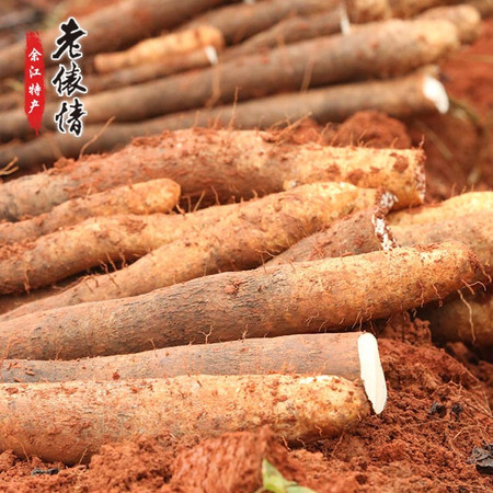 老俵情余江山药 正宗淮山 酥软滑脆 新鲜粉糯5斤装