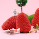 立兴 草莓酸奶块40克/盒