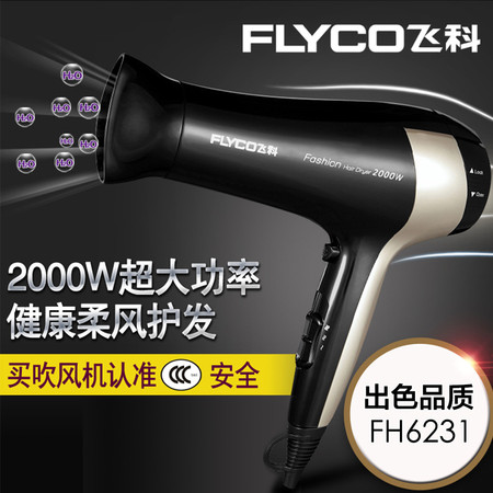 飞科/FLYCO 家用大功率电吹风发 2000W冷热风吹风筒FH6231 吹风机图片