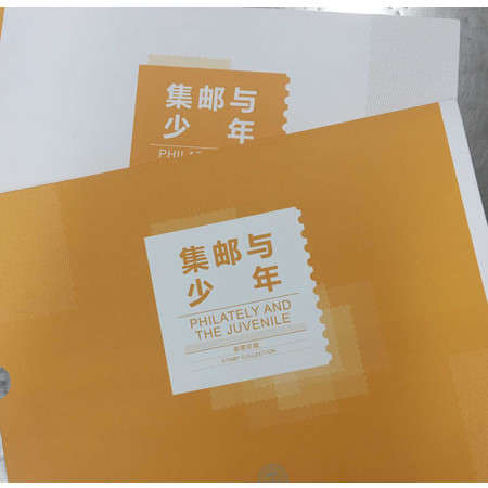【随县馆】中国邮政 集邮系列《集邮与少年》图片