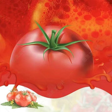 昝记 番茄味 火锅底料 汤鲜味美，口感醇厚