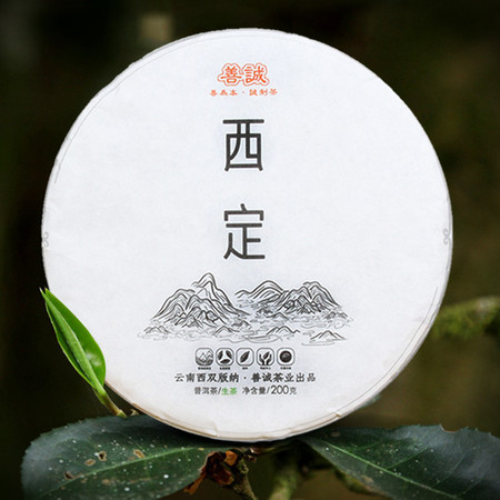 西双版纳西定2021年春茶 乔木老树普洱生茶饼200g 包邮