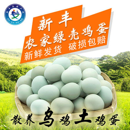 自产自销  新丰特产农家绿壳鸡蛋30枚农家散养乌鸡蛋新鲜发货土鸡蛋图片