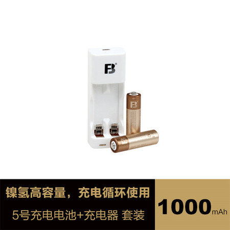 沣标(FB) 1000mAh 5号充电电池B2DS01充电器套装 镍氢可充电电池相机鼠标键盘电动儿童图片