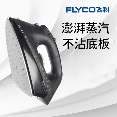 飞科/FLYCO 飞科电熨斗家用蒸汽熨斗手持挂烫式电烫斗迷你小型熨烫衣FI-9311图片