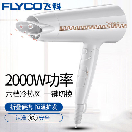 飞科/FLYCO 飞科大功率吹风机家用发廊电吹风FH6228负离子冷热风吹风筒可折叠